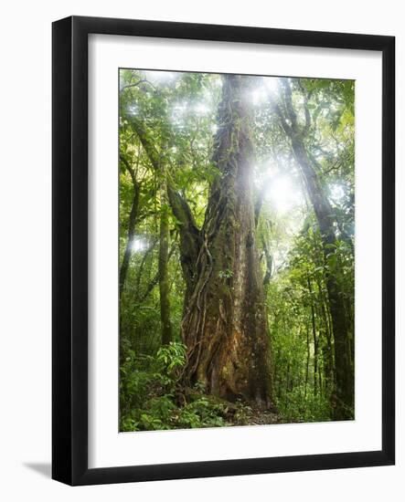 Low Tide Sunset on Playa Linda near Dominical-Stefano Amantini-Framed Photographic Print