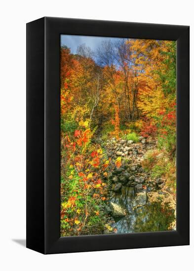 Low Water Brook Autumn-Robert Goldwitz-Framed Premier Image Canvas