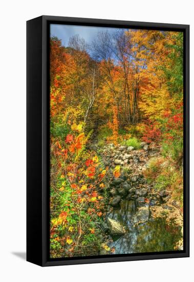 Low Water Brook Autumn-Robert Goldwitz-Framed Premier Image Canvas