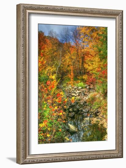 Low Water Brook Autumn-Robert Goldwitz-Framed Photographic Print