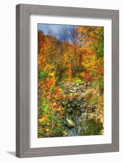 Low Water Brook Autumn-Robert Goldwitz-Framed Photographic Print