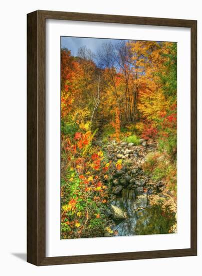 Low Water Brook Autumn-Robert Goldwitz-Framed Photographic Print