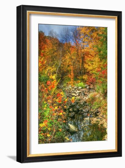 Low Water Brook Autumn-Robert Goldwitz-Framed Photographic Print