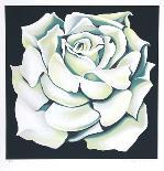 White Rose-Lowell Blair Nesbitt-Framed Limited Edition