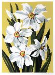 White Irises on Blue-Lowell Nesbitt-Limited Edition