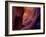 Lower Antelope Canyon Rock Formations, Arizona-Ian Shive-Framed Photographic Print