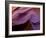 Lower Antelope Canyon Rock Formations, Arizona-Ian Shive-Framed Photographic Print