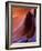 Lower Antelope Canyon Rock Formations-Ian Shive-Framed Photographic Print