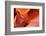 Lower Antelope Canyon-Paul Souders-Framed Photographic Print