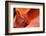 Lower Antelope Canyon-Paul Souders-Framed Photographic Print