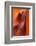 Lower Antelope Canyon-Paul Souders-Framed Photographic Print