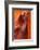 Lower Antelope Canyon-Paul Souders-Framed Photographic Print