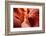 Lower Antelope Canyon-TCYuen-Framed Photographic Print