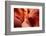 Lower Antelope Canyon-TCYuen-Framed Photographic Print