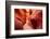 Lower Antelope Canyon-TCYuen-Framed Photographic Print