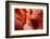 Lower Antelope Canyon-TCYuen-Framed Photographic Print