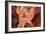 Lower Antelope I-Larry Malvin-Framed Photographic Print