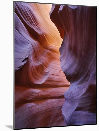 Lower Anthelope Canyon, Navajo Tribal Park, Page, Arizona, Usa-Rainer Mirau-Mounted Photographic Print