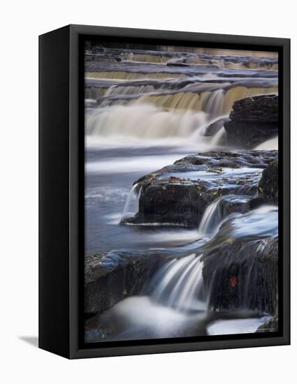 Lower Aysgarth Falls Near Hawes, Wensleydale, Yorkshire Dales National Park, Yorkshire, England, UK-Neale Clarke-Framed Premier Image Canvas