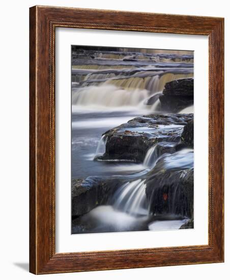 Lower Aysgarth Falls Near Hawes, Wensleydale, Yorkshire Dales National Park, Yorkshire, England, UK-Neale Clarke-Framed Photographic Print