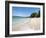 Lower Bay, Bequia, St. Vincent and the Grenadines, Windward Islands, West Indies, Caribbean-Michael DeFreitas-Framed Photographic Print