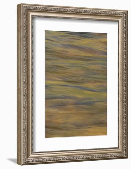 Lower Deschutes River, Central Oregon, USA-Stuart Westmorland-Framed Photographic Print