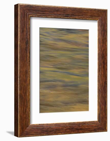 Lower Deschutes River, Central Oregon, USA-Stuart Westmorland-Framed Photographic Print