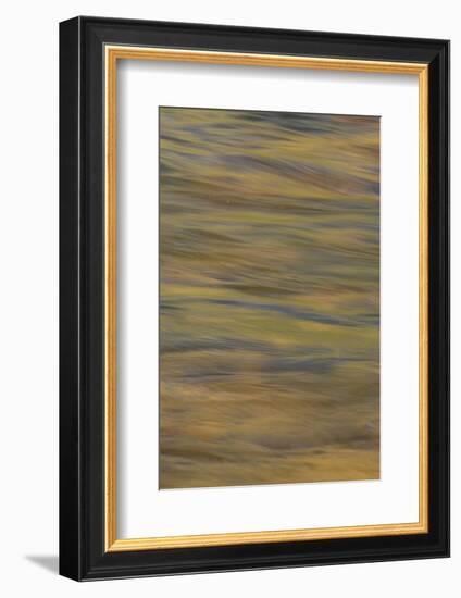 Lower Deschutes River, Central Oregon, USA-Stuart Westmorland-Framed Photographic Print