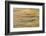 Lower Deschutes River, Central Oregon, USA-Stuart Westmorland-Framed Photographic Print