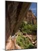 Lower Emerald Pool, Zion National Park, Utah, United States of America, North America-Richard Maschmeyer-Mounted Photographic Print