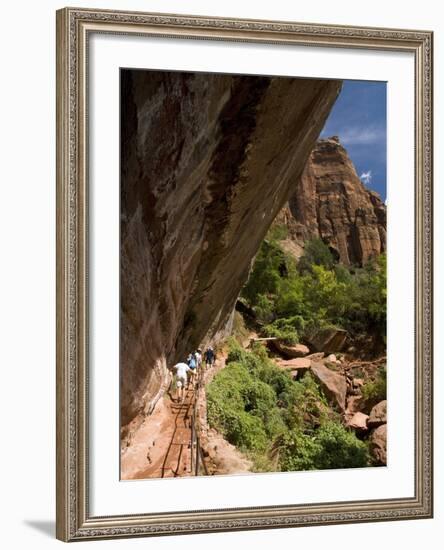 Lower Emerald Pool, Zion National Park, Utah, United States of America, North America-Richard Maschmeyer-Framed Photographic Print