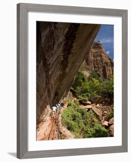 Lower Emerald Pool, Zion National Park, Utah, United States of America, North America-Richard Maschmeyer-Framed Photographic Print