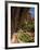 Lower Emerald Pool, Zion National Park, Utah, United States of America, North America-Richard Maschmeyer-Framed Photographic Print