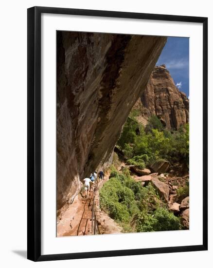 Lower Emerald Pool, Zion National Park, Utah, United States of America, North America-Richard Maschmeyer-Framed Photographic Print