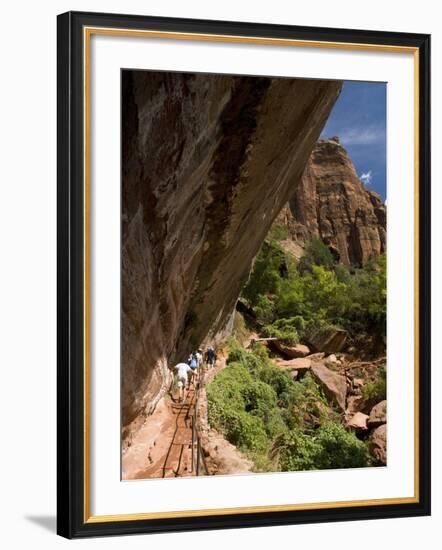 Lower Emerald Pool, Zion National Park, Utah, United States of America, North America-Richard Maschmeyer-Framed Photographic Print