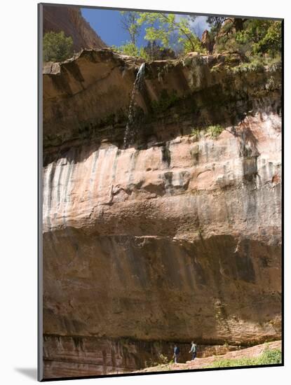 Lower Emerald Pool, Zion National Park, Utah, United States of America, North America-Richard Maschmeyer-Mounted Photographic Print