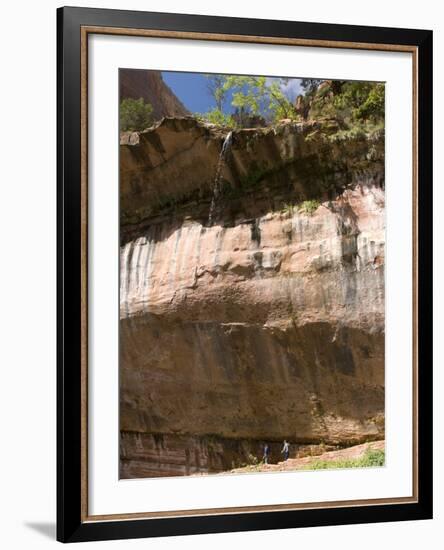 Lower Emerald Pool, Zion National Park, Utah, United States of America, North America-Richard Maschmeyer-Framed Photographic Print