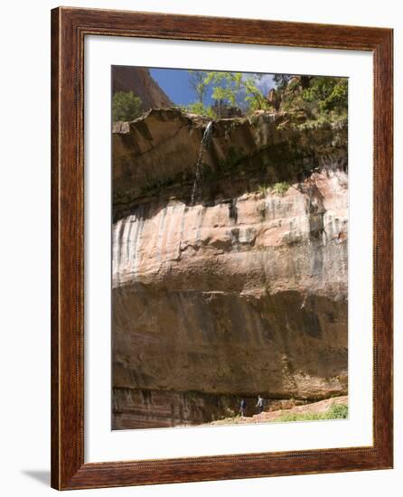 Lower Emerald Pool, Zion National Park, Utah, United States of America, North America-Richard Maschmeyer-Framed Photographic Print