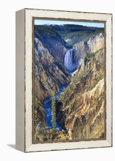 Lower Falls and the Grand Canyon of the Yellowstone, Yellowstone National Park, Wyoming, Usa-Eleanor Scriven-Framed Premier Image Canvas