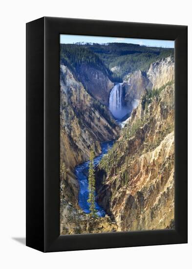 Lower Falls and the Grand Canyon of the Yellowstone, Yellowstone National Park, Wyoming, Usa-Eleanor Scriven-Framed Premier Image Canvas