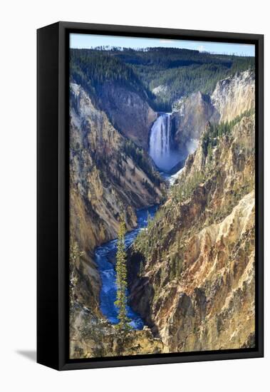 Lower Falls and the Grand Canyon of the Yellowstone, Yellowstone National Park, Wyoming, Usa-Eleanor Scriven-Framed Premier Image Canvas