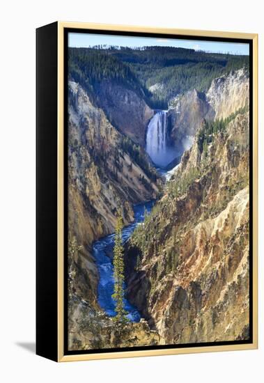 Lower Falls and the Grand Canyon of the Yellowstone, Yellowstone National Park, Wyoming, Usa-Eleanor Scriven-Framed Premier Image Canvas