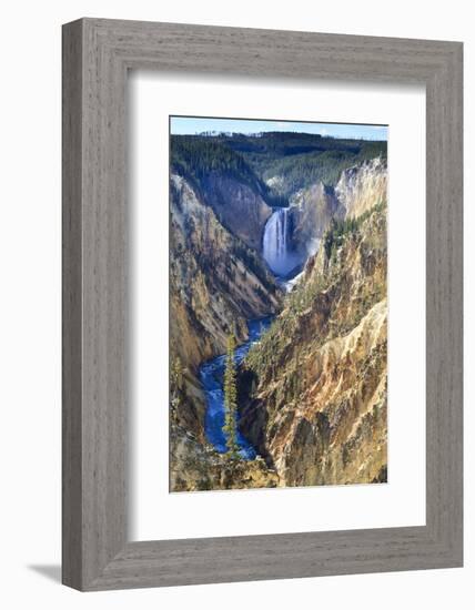 Lower Falls and the Grand Canyon of the Yellowstone, Yellowstone National Park, Wyoming, Usa-Eleanor Scriven-Framed Photographic Print