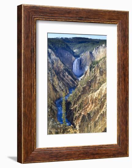 Lower Falls and the Grand Canyon of the Yellowstone, Yellowstone National Park, Wyoming, Usa-Eleanor Scriven-Framed Photographic Print