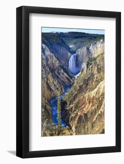 Lower Falls and the Grand Canyon of the Yellowstone, Yellowstone National Park, Wyoming, Usa-Eleanor Scriven-Framed Photographic Print