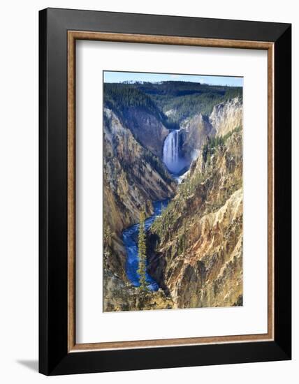 Lower Falls and the Grand Canyon of the Yellowstone, Yellowstone National Park, Wyoming, Usa-Eleanor Scriven-Framed Photographic Print