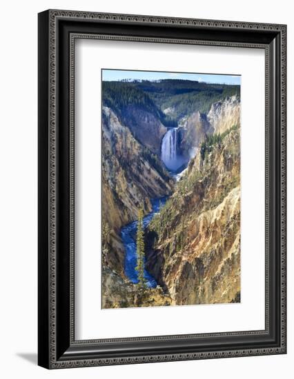 Lower Falls and the Grand Canyon of the Yellowstone, Yellowstone National Park, Wyoming, Usa-Eleanor Scriven-Framed Photographic Print