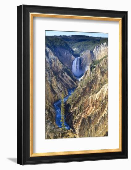 Lower Falls and the Grand Canyon of the Yellowstone, Yellowstone National Park, Wyoming, Usa-Eleanor Scriven-Framed Photographic Print