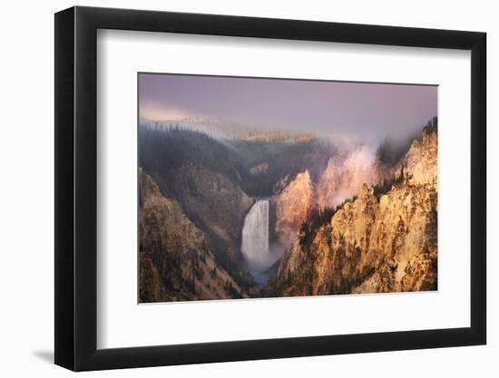 Lower Falls at sunrise from Artist Point, Yellowstone National Park.-Adam Jones-Framed Photographic Print