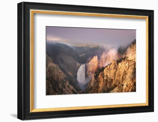 Lower Falls at sunrise from Artist Point, Yellowstone National Park.-Adam Jones-Framed Photographic Print